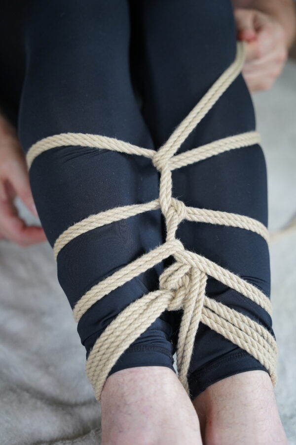 Online Kurs - Floorwork Basics – Bild 4