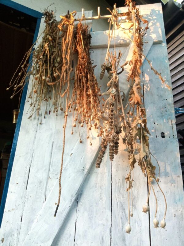 Das (Seil)Gartenprojekt – Bild 8