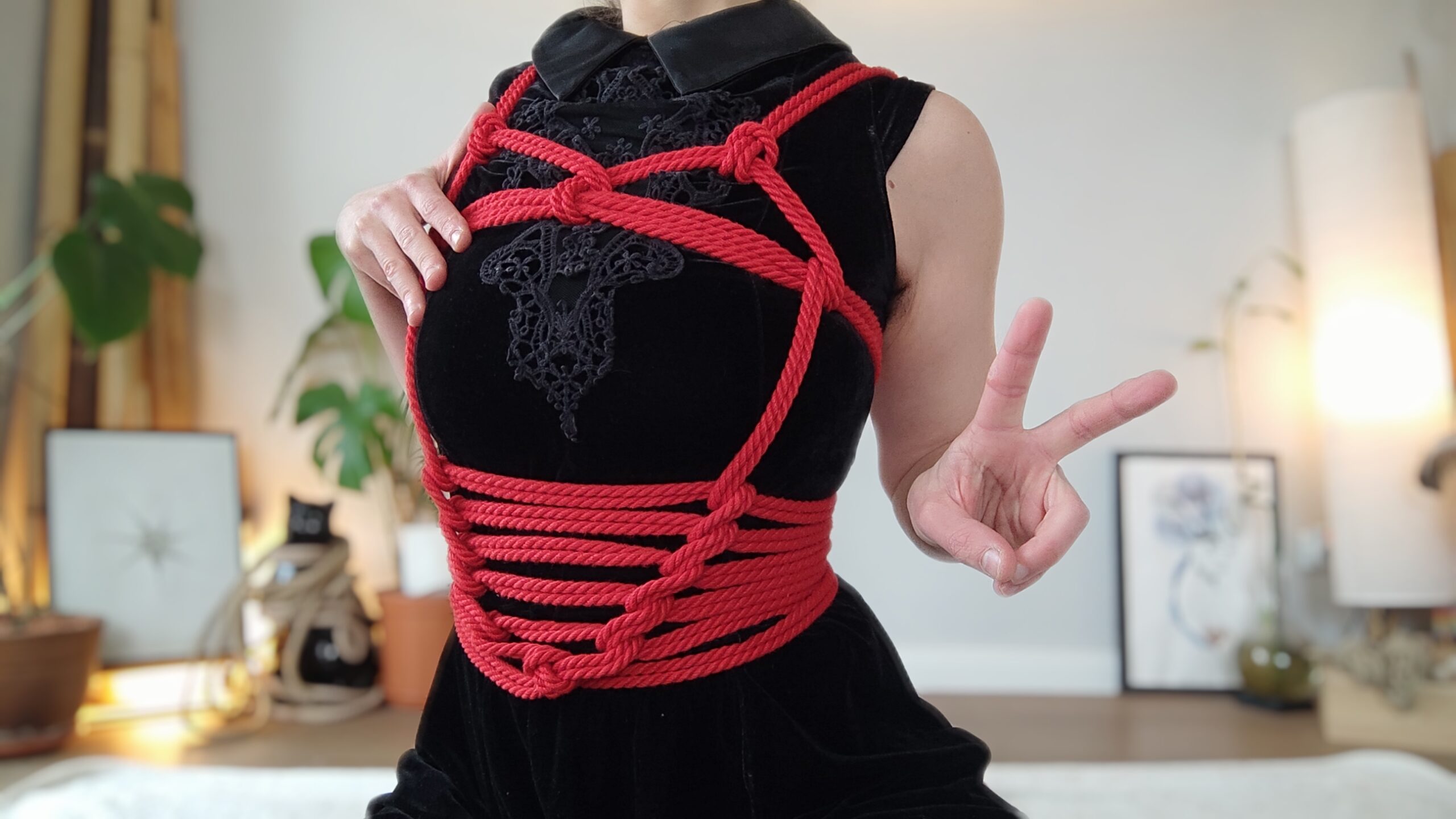 Equinox Video Special - Self Ties – Bild 2